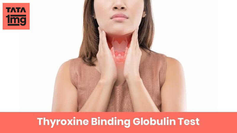 Thyroxine Binding Globulin